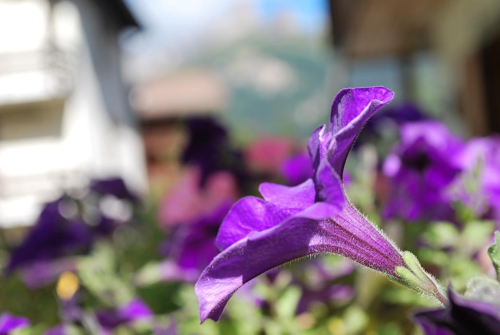Villa L'Aida Canazei Eksteriør billede